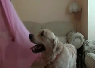 Dog gets seduced by her hot body