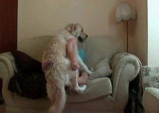 Dog gets seduced by her hot body