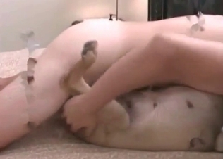 Bedroom sex for a horny puppy