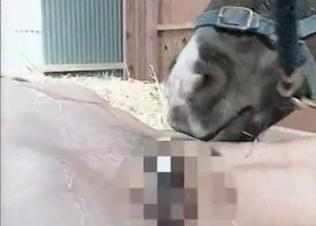 Hot Asian chick and a pony