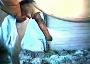 White horse fucking like a pro