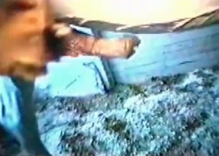 White horse fucking like a pro