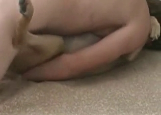 Trained dog is trained to fuck