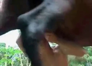 Big cock gets into her hungry mouth