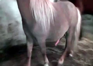 Amazing slut railed by a pony