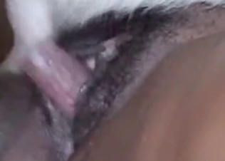 Blonde chick fucking animals