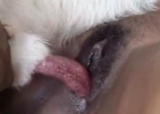 Blonde chick fucking animals