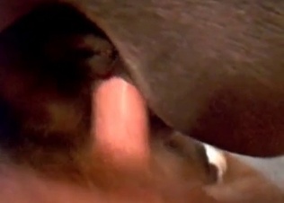Dog gets fucked by a hung dude