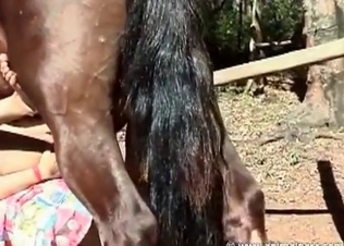 Old farm sex shown up close