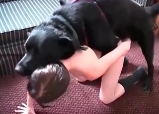 Dog cock sucked by a zoophile