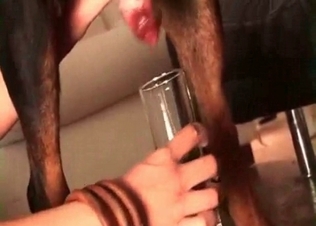 Dog jizz for a hungry brunette