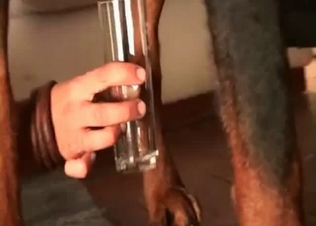 Dog jizz for a hungry brunette