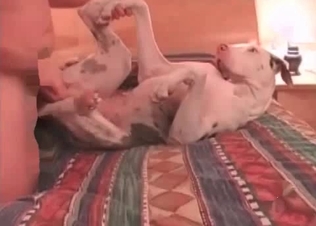 Anal sex for a hot boxer