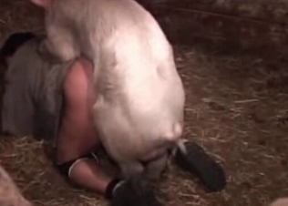 She gets fucked by a horny pig