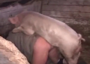 She gets fucked by a horny pig