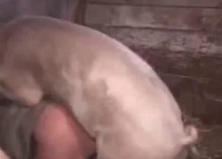 She gets fucked by a horny pig