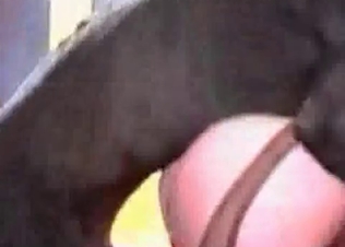 Doggy loves three-way sex