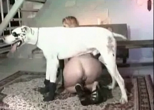Amazing animal action with a tyke