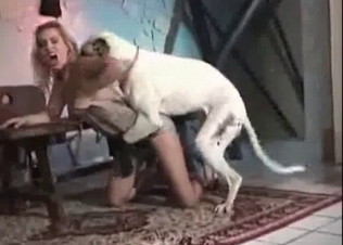 Amazing animal action with a tyke