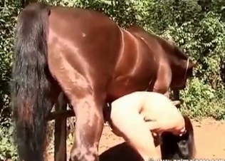 Horse banging this slut senseless