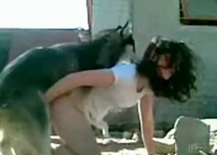 Brunette has two dogs to fuck