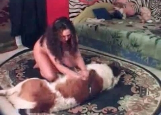 Afghan dog fucking this stunning brunette