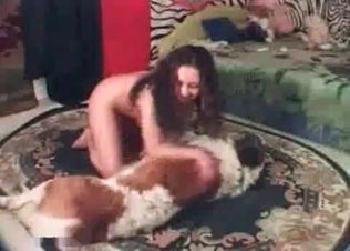 Afghan dog fucking this stunning brunette