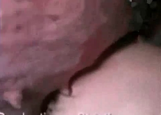 Animal fucking on the farm