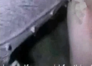 Animal fucking on the farm
