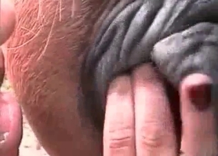 Amazing brunette fucking a horse
