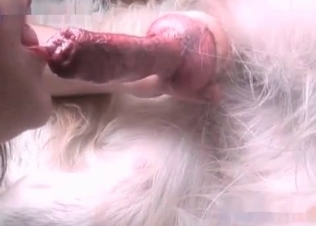 Good dog gets a good blowjob
