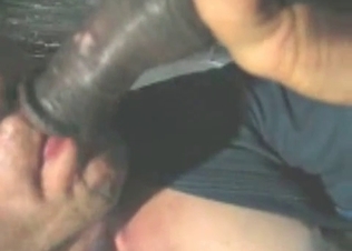 Gulping down hot horse load