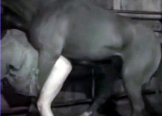 Incredible bestial action