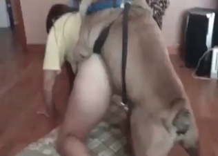 Chubby chick fucking a dog