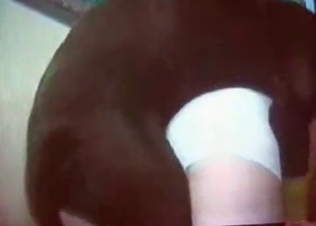 Dog fucking two hot chick