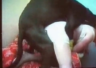 Dog fucking two hot chick