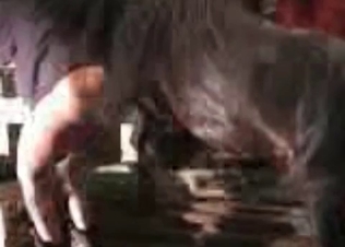 Doggystyle action for a horse