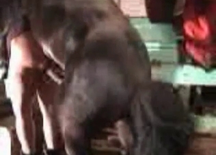 Doggystyle action for a horse
