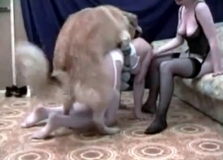 naughty bedroom action with a hound