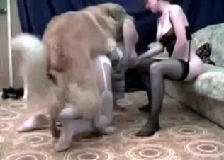 naughty bedroom action with a hound