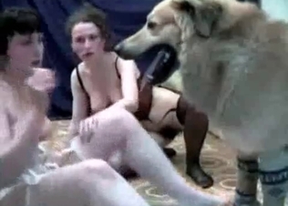naughty bedroom action with a hound