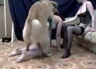 naughty bedroom action with a hound