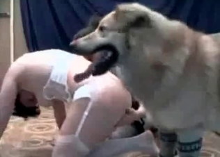 naughty bedroom action with a hound