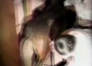 Barn fucking with hot animals