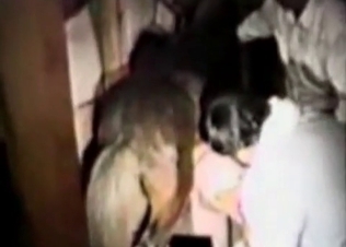 Barn fucking with hot animals