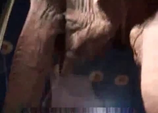 Elephant enjoying the strippers