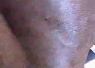 Stallion fucking, hardcore style