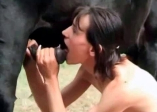 Horse gets its dick sucked