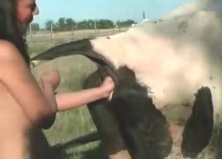 Brunette loves this horse hottie