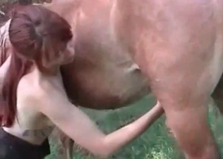 Mare fucking a ginger slut